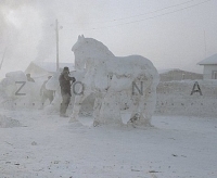 Zona : Siberian Prison Camps артикул 10009d.